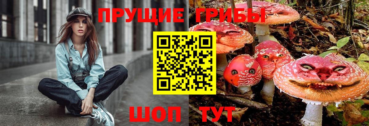 Сосновоборск  Галлюциногенные грибы Psilocybine cubensis  Вход с VPN  Галлюциногенные грибы мицелий 