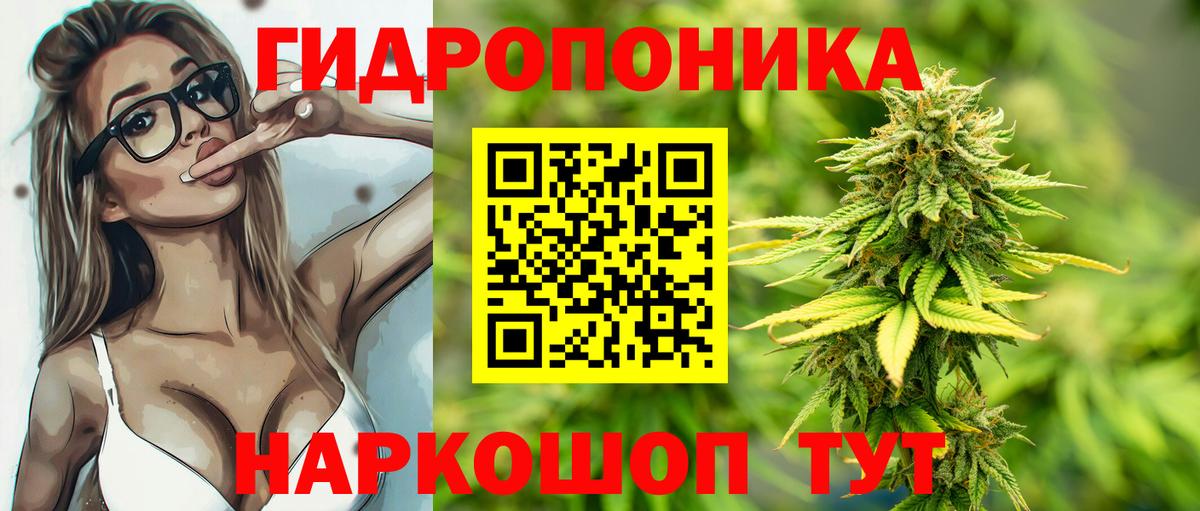 Марихуана планчик  Бошки марихуана AK-47  Вход с VPN  Конопля LSD WEED  Сосновоборск 